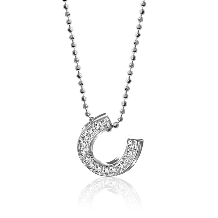 Alex Woo Luck Horseshoe Charm Necklace