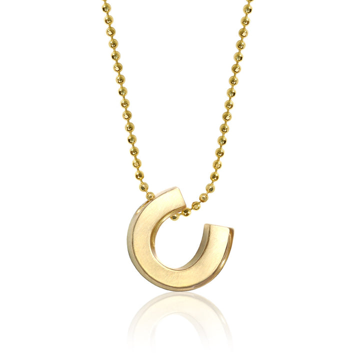 Alex Woo Luck Horseshoe Charm Necklace